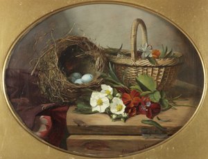 Nature morte